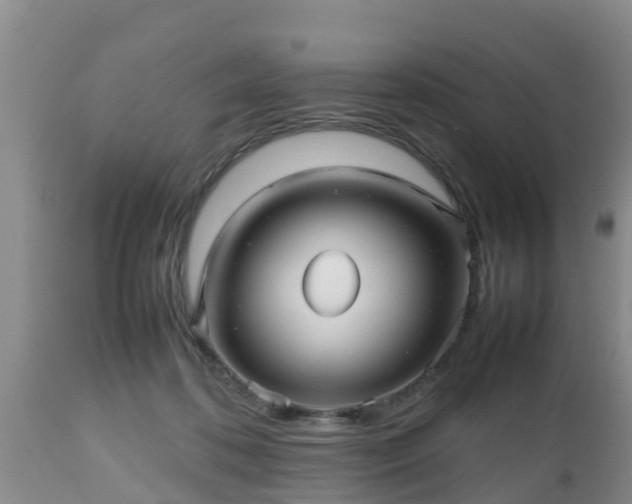X0000112810316200908281513