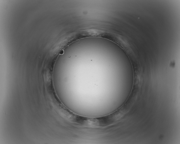 X0000112810317200908281513