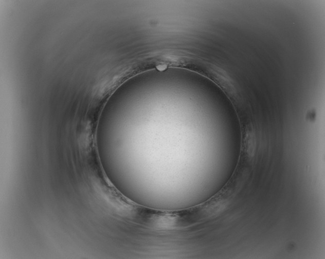 X0000112810318200908281513