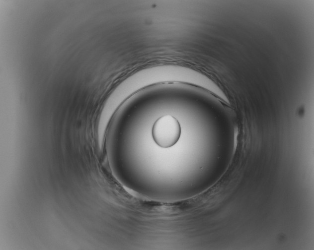 X0000112810320200908281513