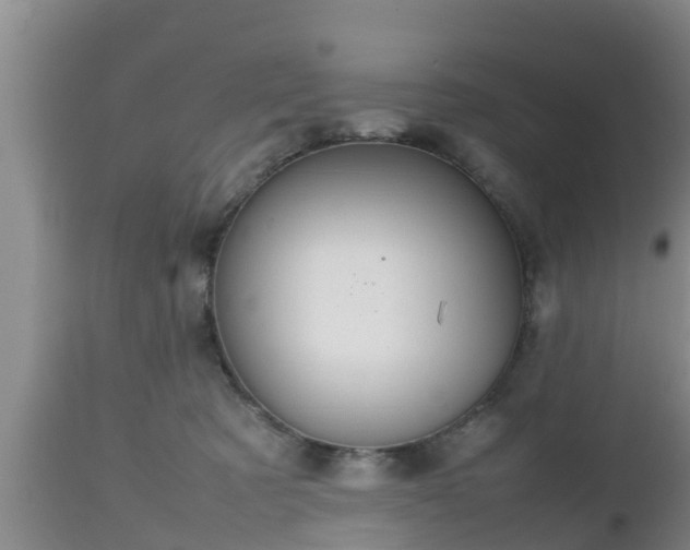X0000112810321200908281513