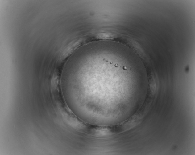 X0000112810322200908281513