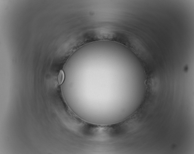 X0000112810323200908281513