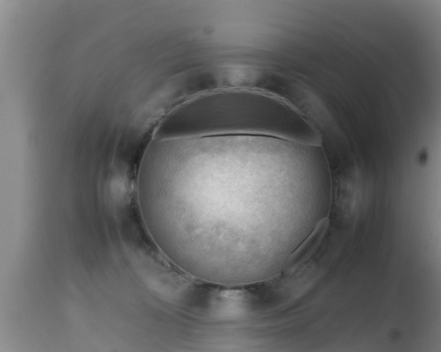 X0000112810324200908281513