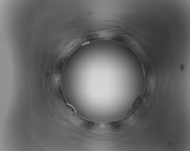 X0000112810329200908281513