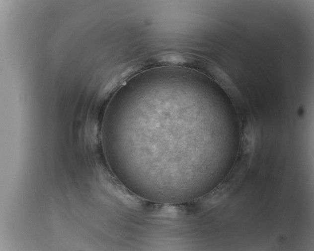 X0000112810330200908281513