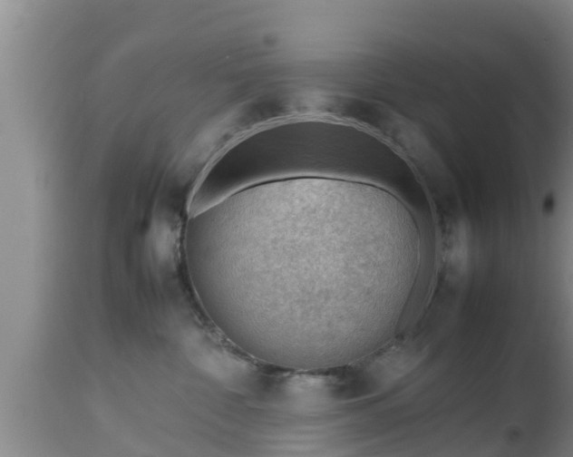 X0000112810332200908281513