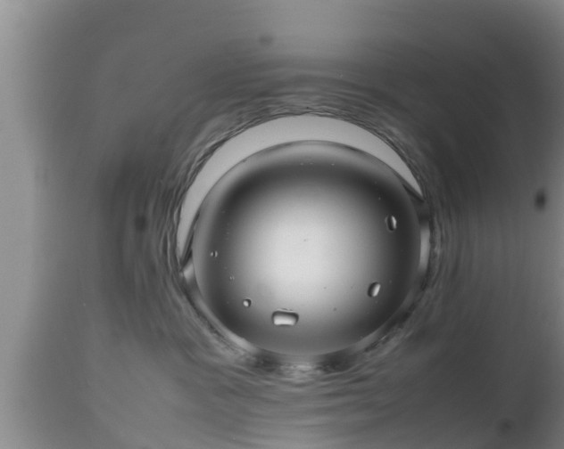 X0000112810333200908281513