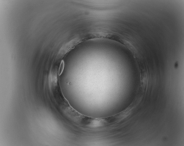 X0000112810334200908281513