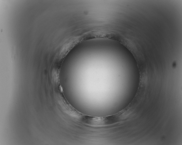 X0000112810335200908281512