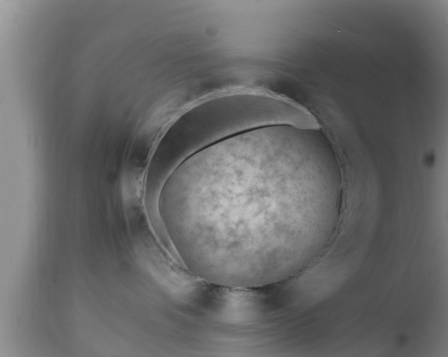 X0000112810336200908281512