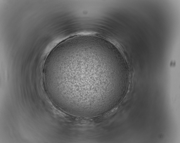 X0000112810337200908281512