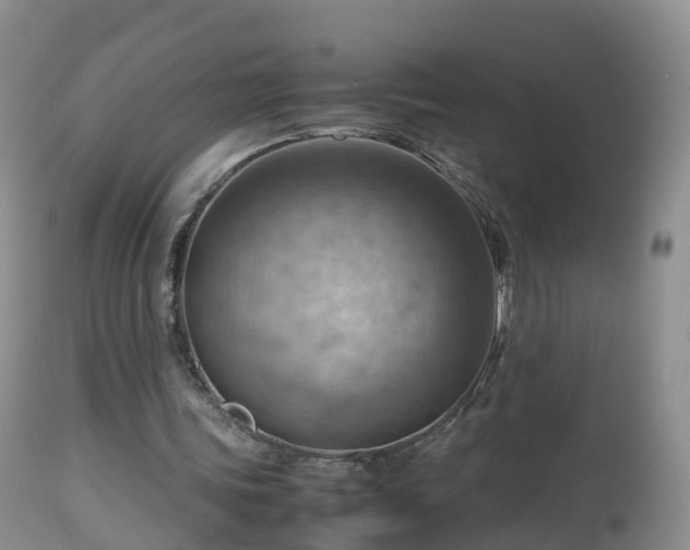 X0000112810339200908281512