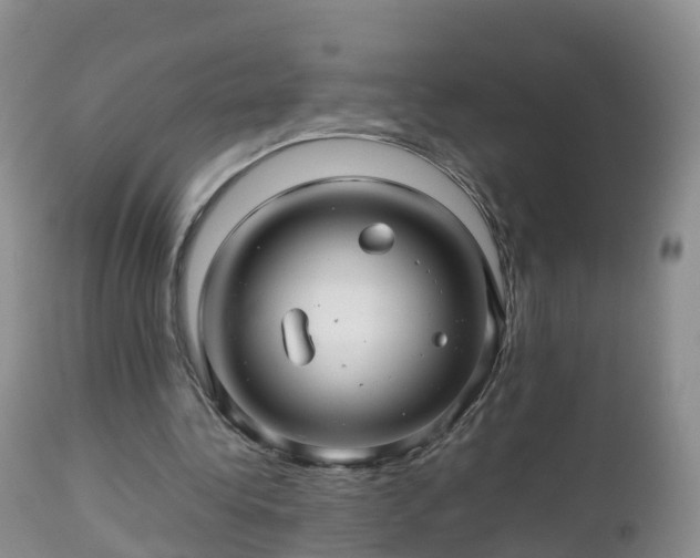 X0000112810340200908281512