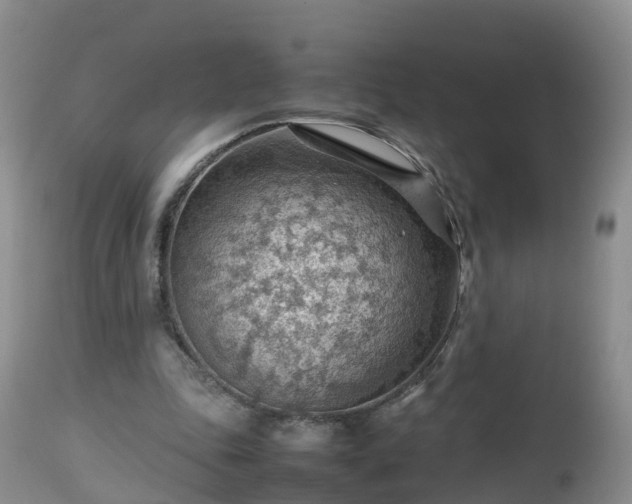 X0000112810343200908281512