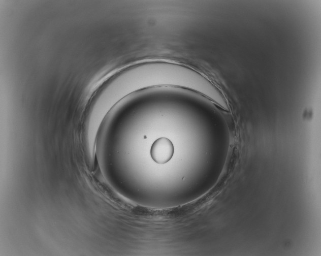 X0000112810344200908281512