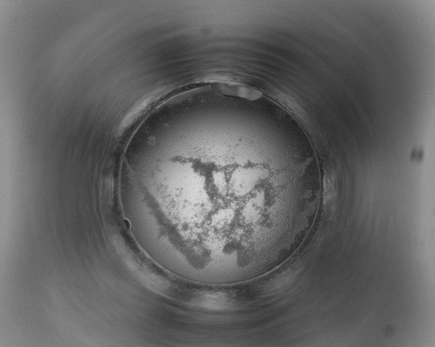 X0000112810349200908281512