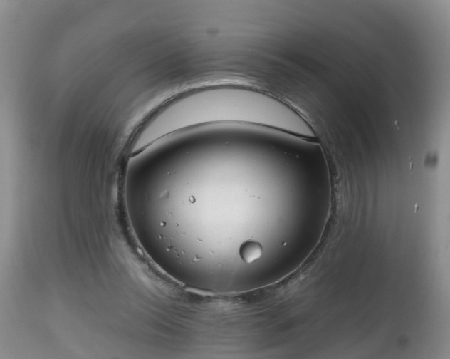 X0000112810350200908281512