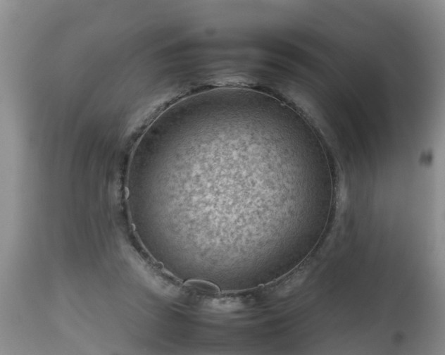 X0000112810353200908281512