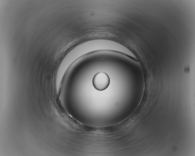 X0000112810356200908281512