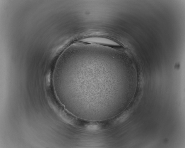 X0000112810358200908281512