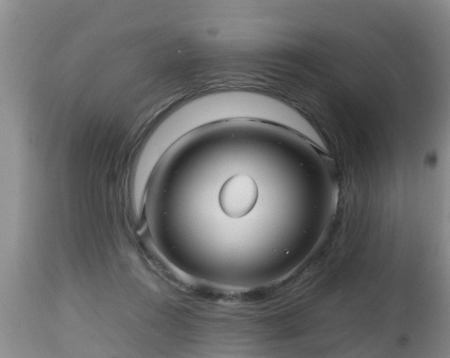 X0000112810360200908281512