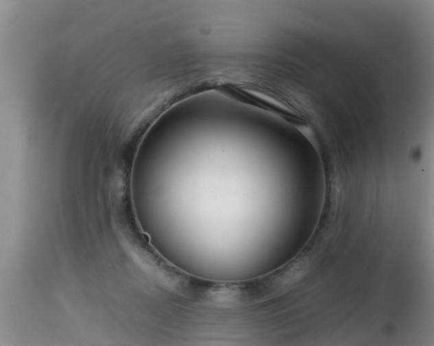 X0000112810362200908281512