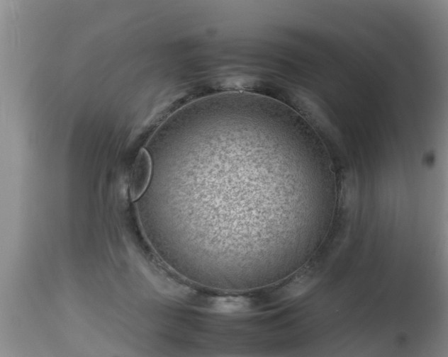 X0000112810363200908281512
