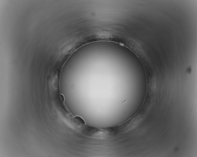 X0000112810364200908281512