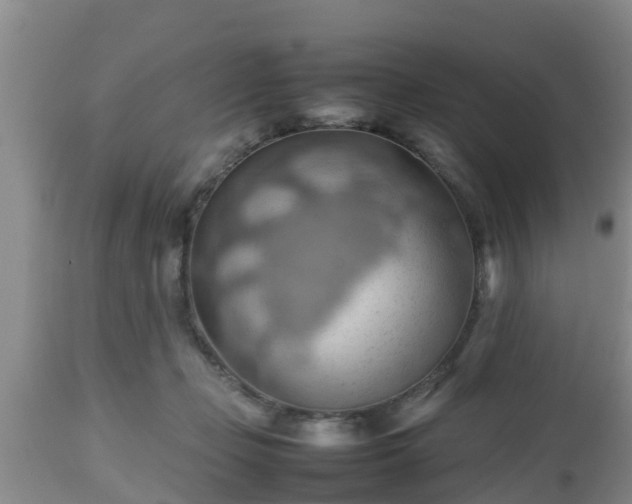 X0000112810365200908281512
