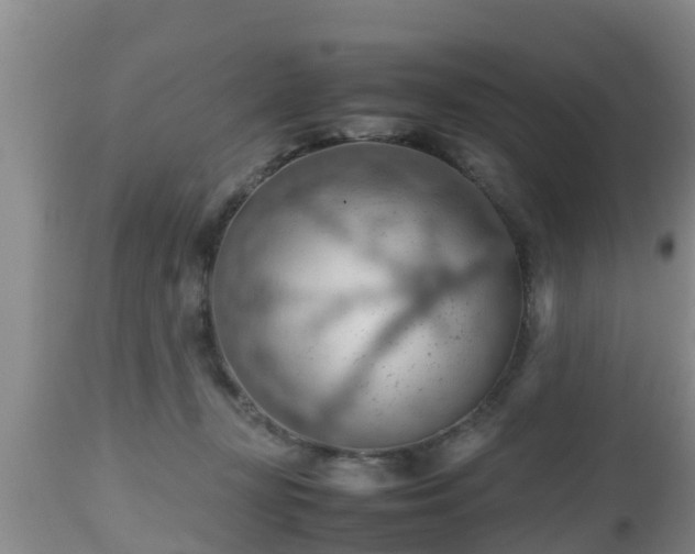 X0000112810367200908281512