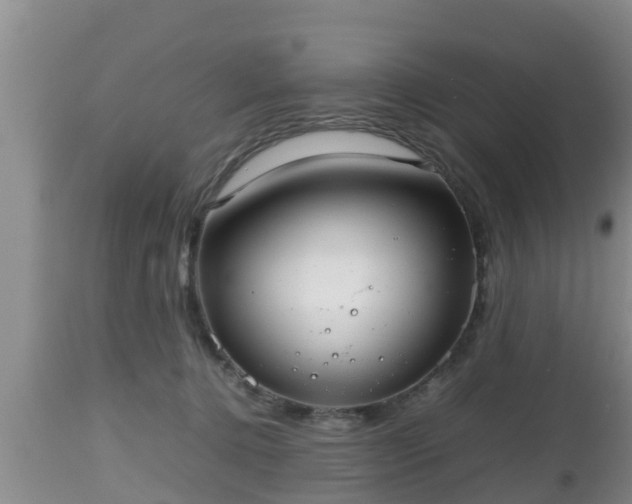 X0000112810368200908281512