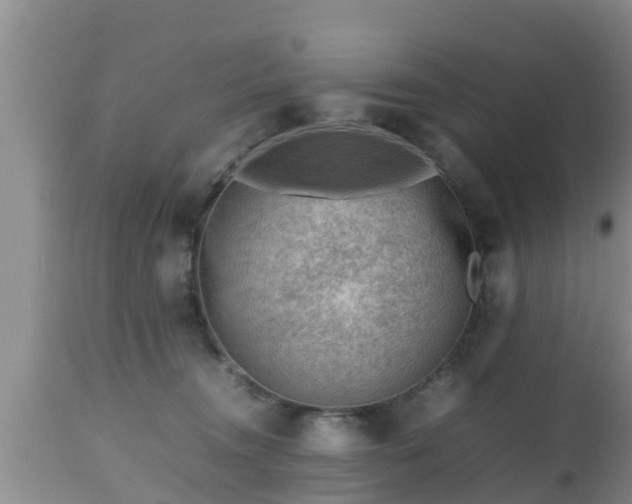 X0000112810372200908281512