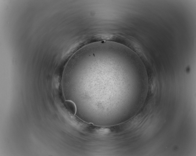 X0000112810374200908281512