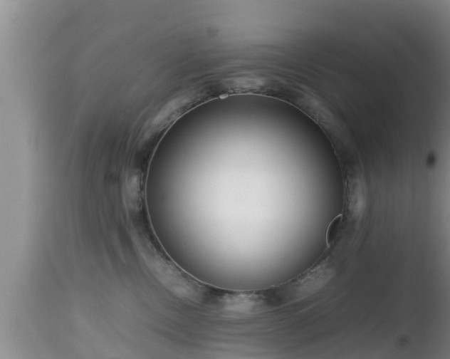 X0000112810378200908281512