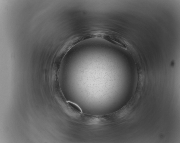 X0000112810379200908281512