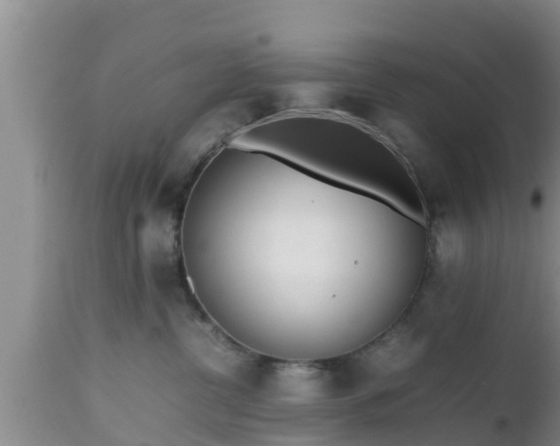 X0000112810380200908281512