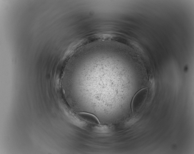 X0000112810381200908281512