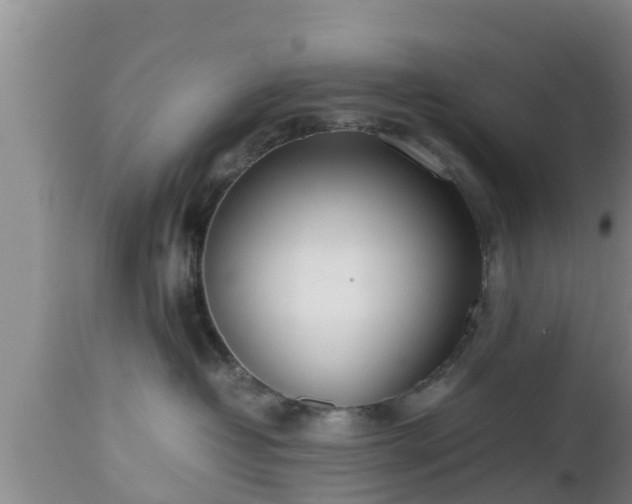 X0000112810382200908281512