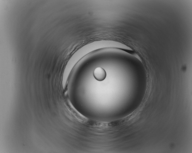 X0000112810384200908281512
