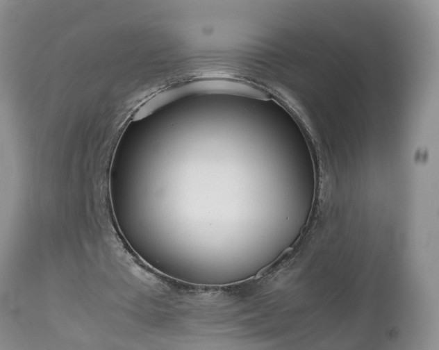 X0000112810385200908281512