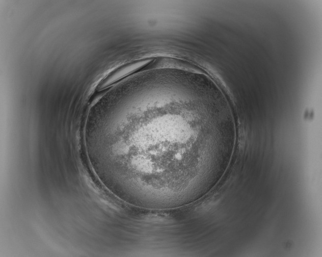 X0000112810386200908281512
