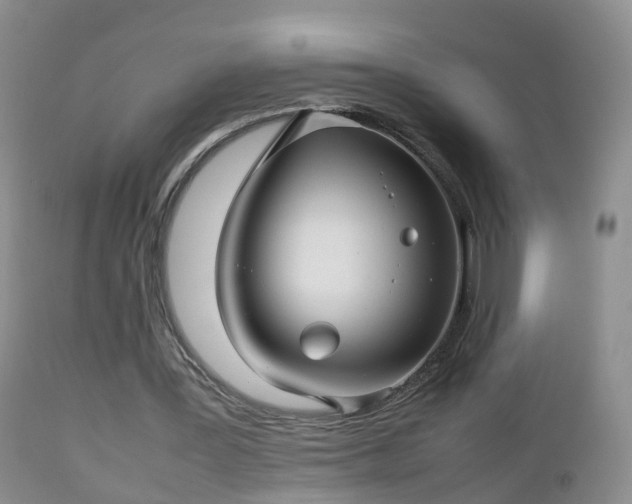 X0000112810387200908281512