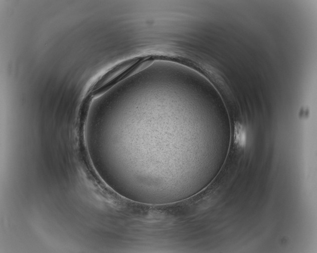 X0000112810388200908281512