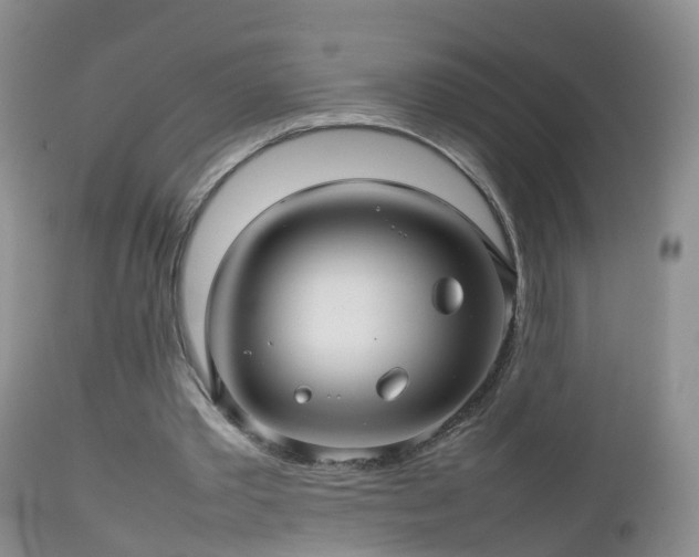 X0000112810389200908281512