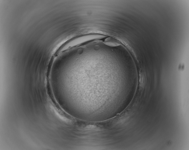 X0000112810390200908281512