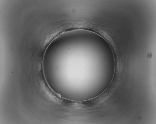 X0000112810393200908281512