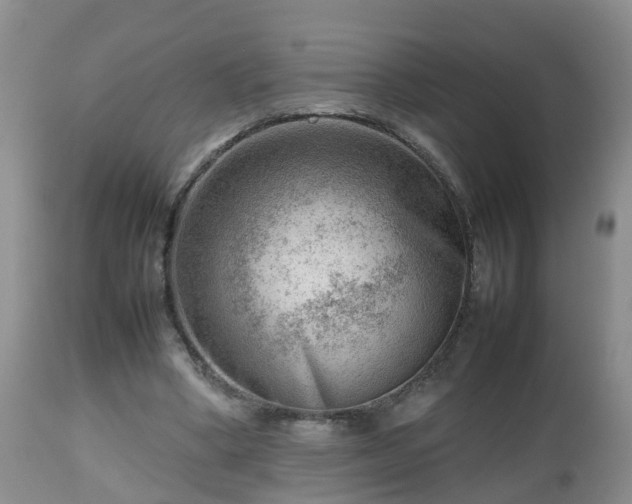 X0000112810394200908281512