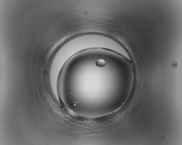X0000112810395200908281512