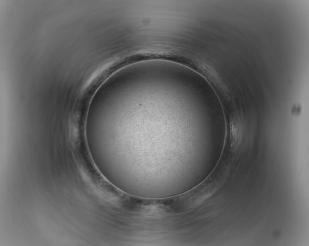 X0000112810396200908281512